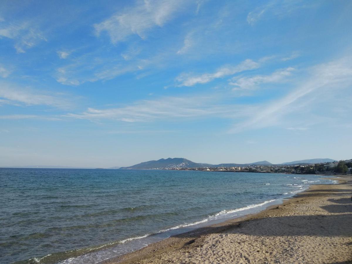 La Vita Apartments-Near Airport & Sea 아르테미다 외부 사진