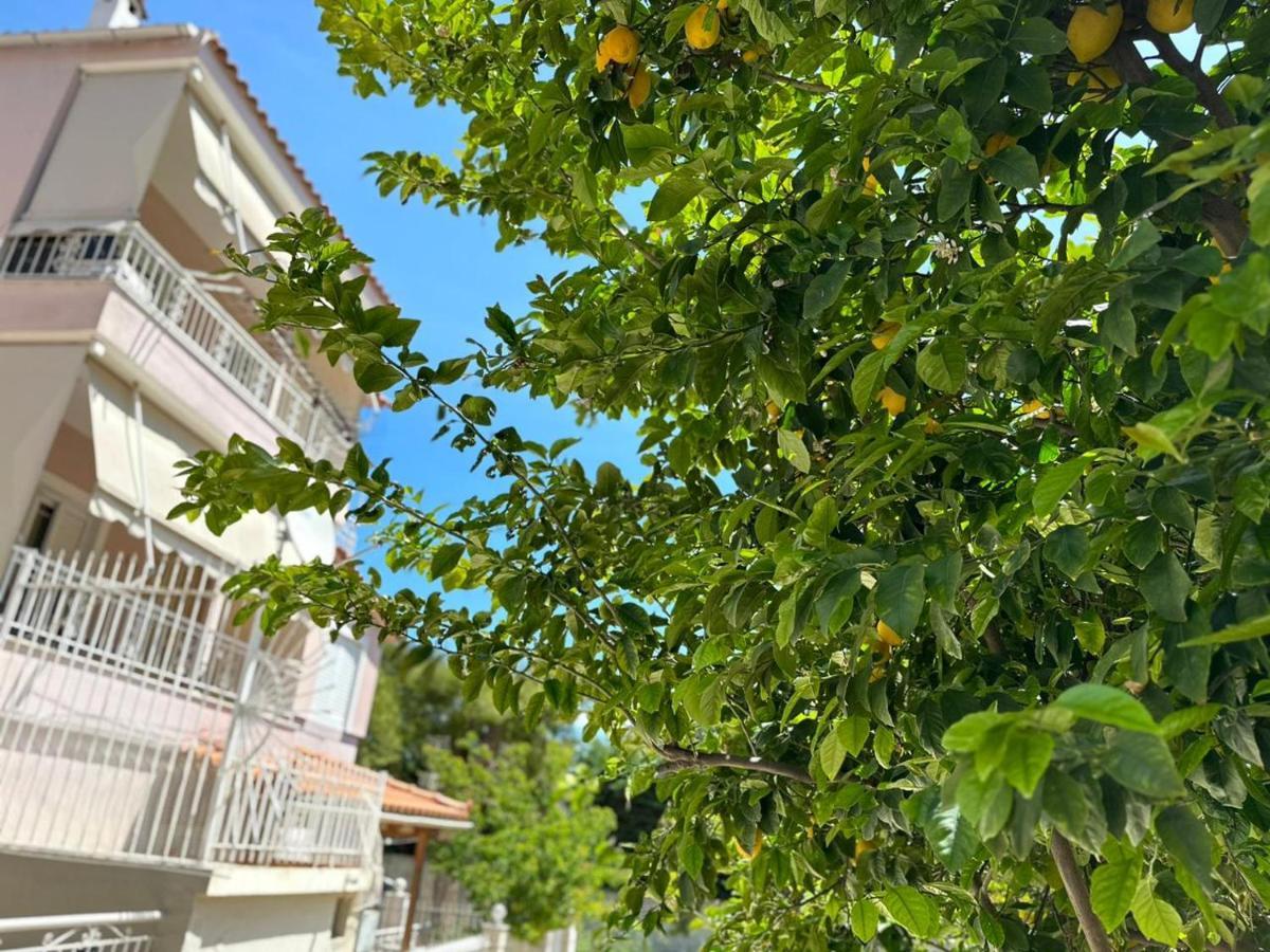 La Vita Apartments-Near Airport & Sea 아르테미다 외부 사진